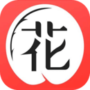 小飛豬大冒險(xiǎn)